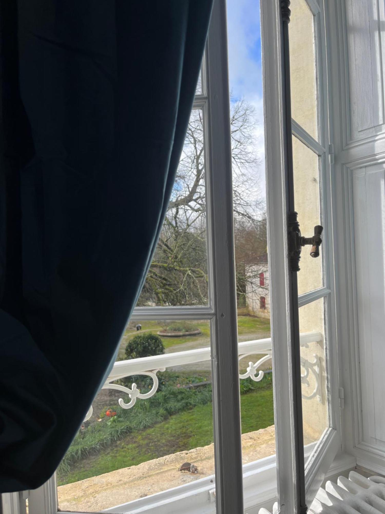Chateau De Mesnac Kültér fotó